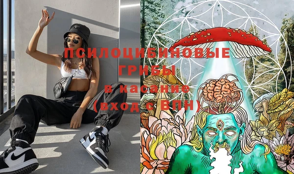 эйфоретик Осташков