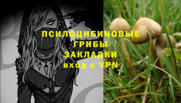 марки nbome Няндома