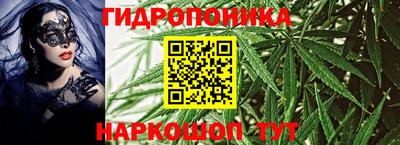apvp Волгодонск