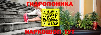 apvp Волгодонск