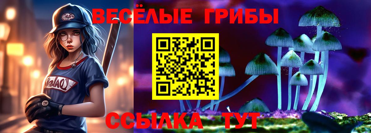Когалым  Галлюциногенные грибы прущие грибы  Галлюциногенные грибы MAGIC MUSHROOMS  Вход с VPN 